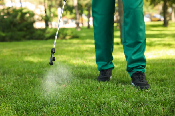 Best Pest Control for Restaurants  in Magnolia, NJ