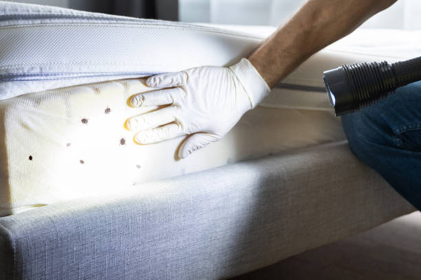 Best Emergency Pest Control  in Magnolia, NJ