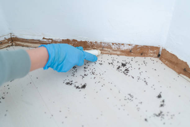 Best Pest Removal Services  in Magnolia, NJ
