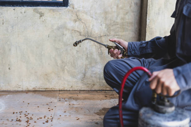 Pest Prevention Services in Magnolia, NJ