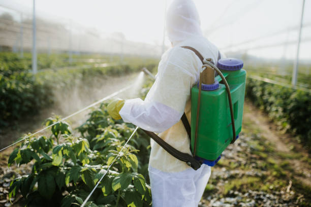 Pest Control Cost in Magnolia, NJ